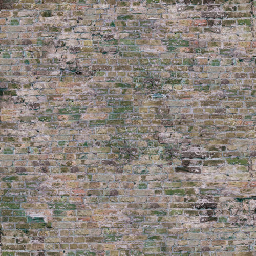 1006 A03 BRICK