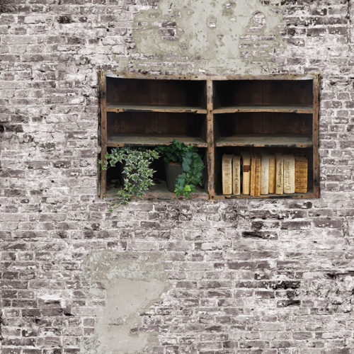 1007 A02 BRICK