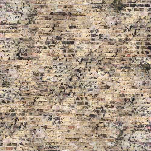 1008 A01 BRICK