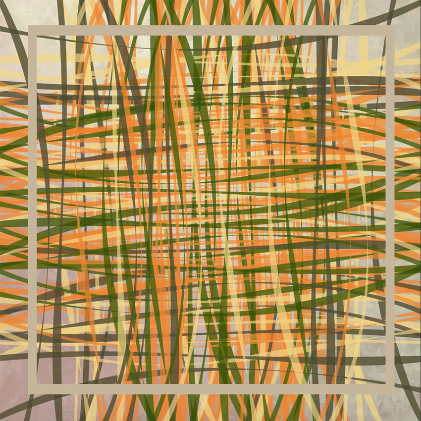 LINEA 101 GRAPHIC