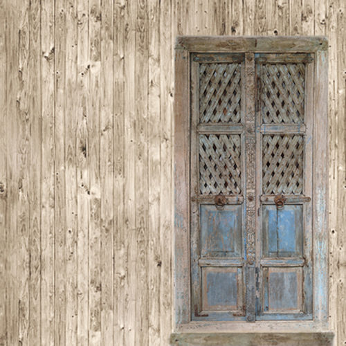 1200 C01 DOOR