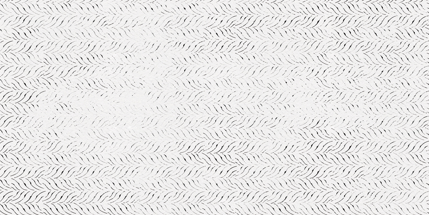 LINEA 124 GRAPHIC