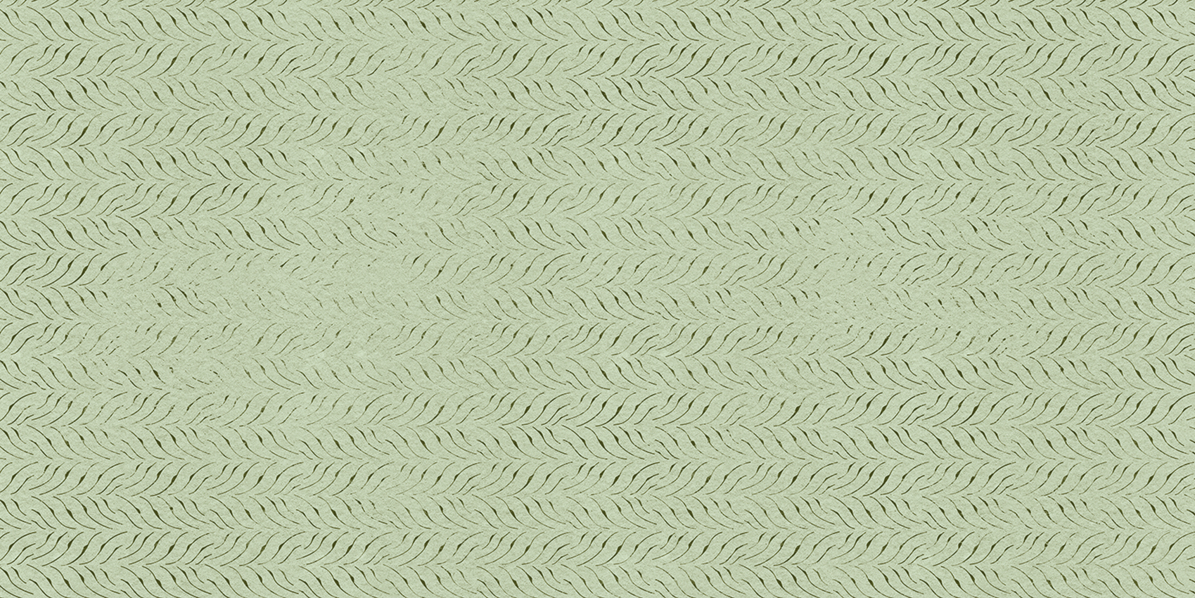 LINEA 124 GRAPHIC
