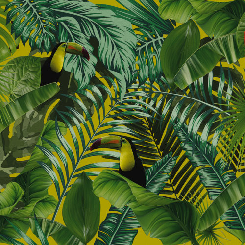 2001 A04 jungle pappagalli