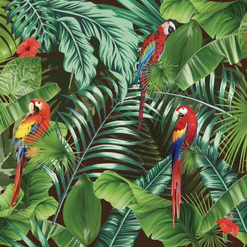 2001 A05 jungle