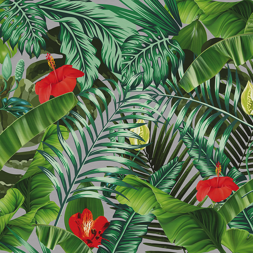 LINEA 2002 JUNGLE