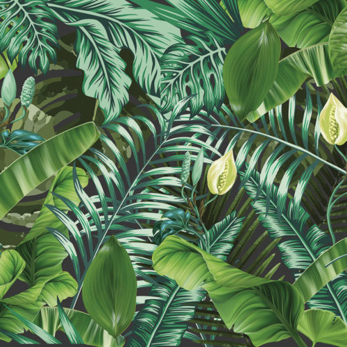 2003 A01 JUNGLE
