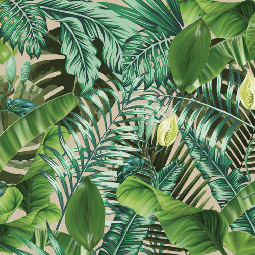 2003 A02 JUNGLE