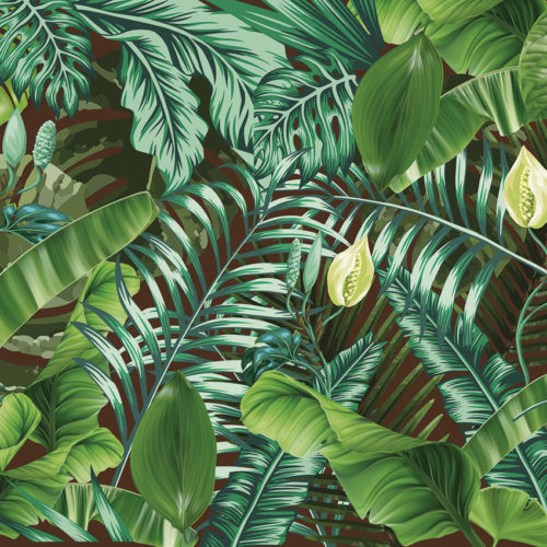 2003 A03 JUNGLE