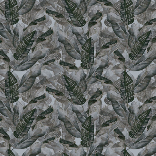 2007 A01 JUNGLE