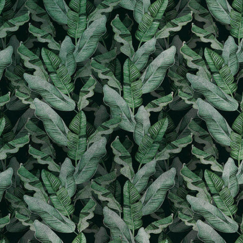 2007 A02 JUNGLE