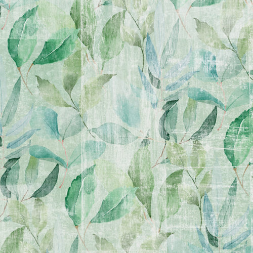 2010 A01 JUNGLE