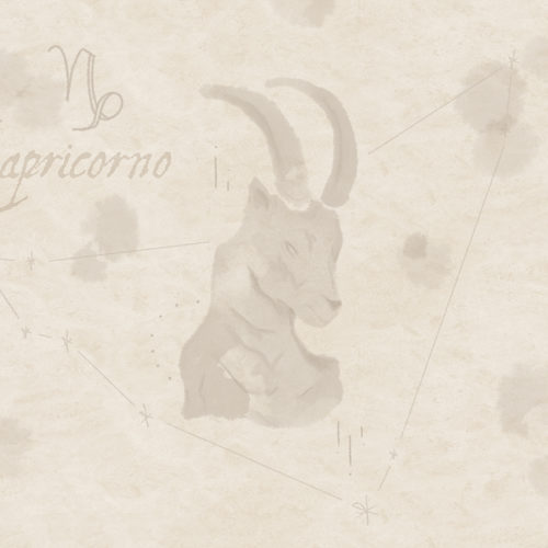 2101 F01 ZODIAC