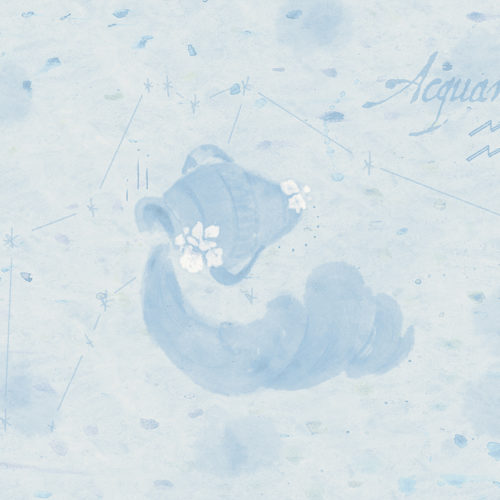 2101 I01 ZODIAC