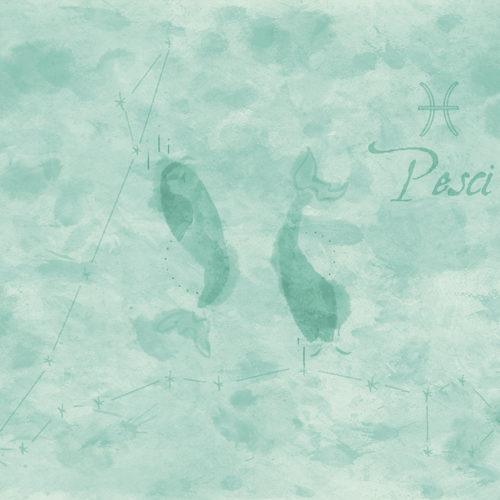 2101 N01 ZODIAC