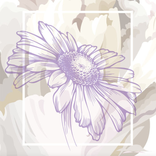 402 A02 NATURAL