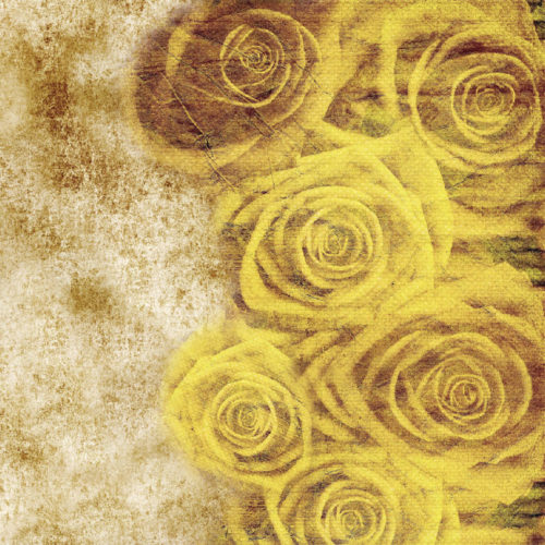 410 A02 NATURAL