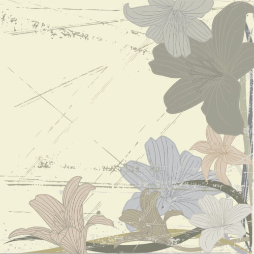 411 A01 NATURAL