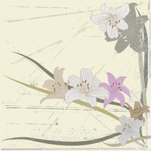 411 A03 NATURAL