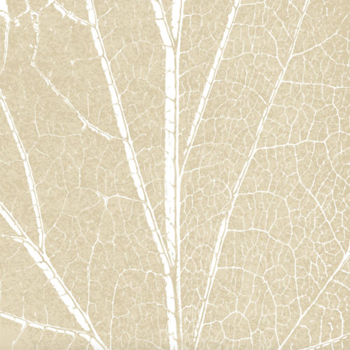 413 A01 NATURAL