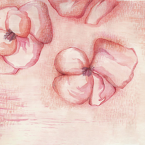 427 A01 NATURAL