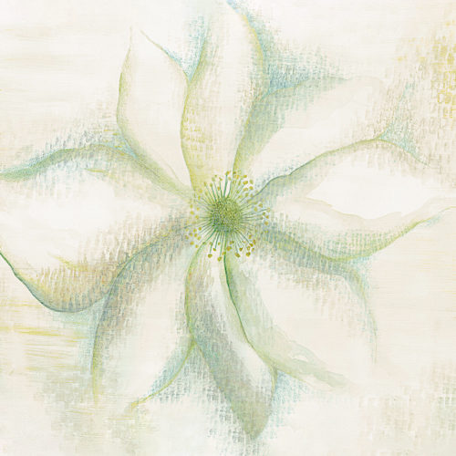 429 A01 NATURAL