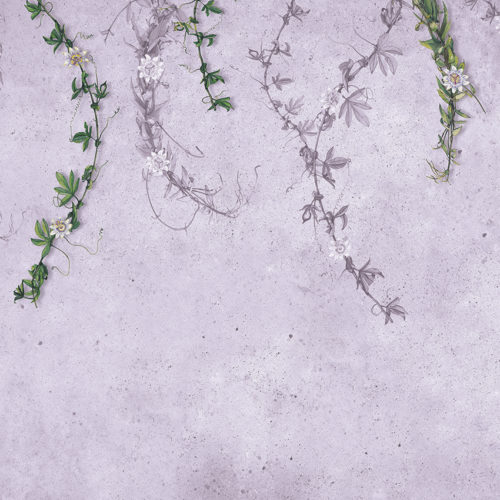 449 A02 NATURAL