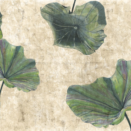 453 A01 NATURAL