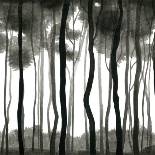 457 A01 NATURAL