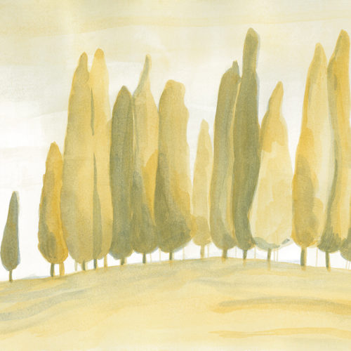 459 A01 NATURAL