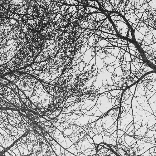 475 A01 NATURAL
