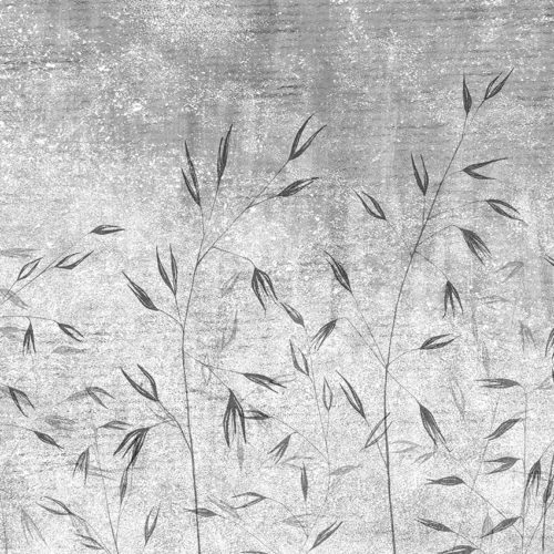 481 A01 NATURAL