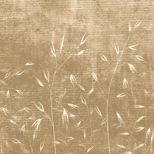 481 A04 NATURAL