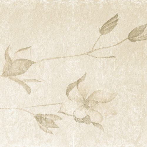 499 A02 NATURAL