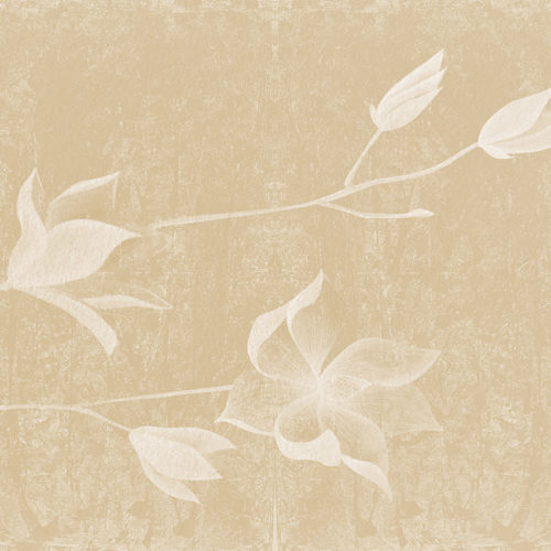 499 A04 NATURAL