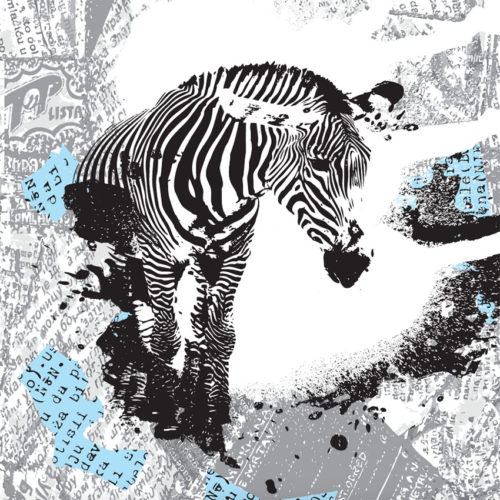 603 A01 ANIMAL