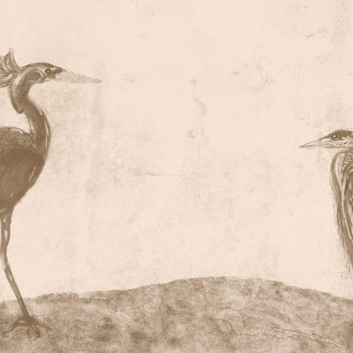 625 A03 ANIMAL